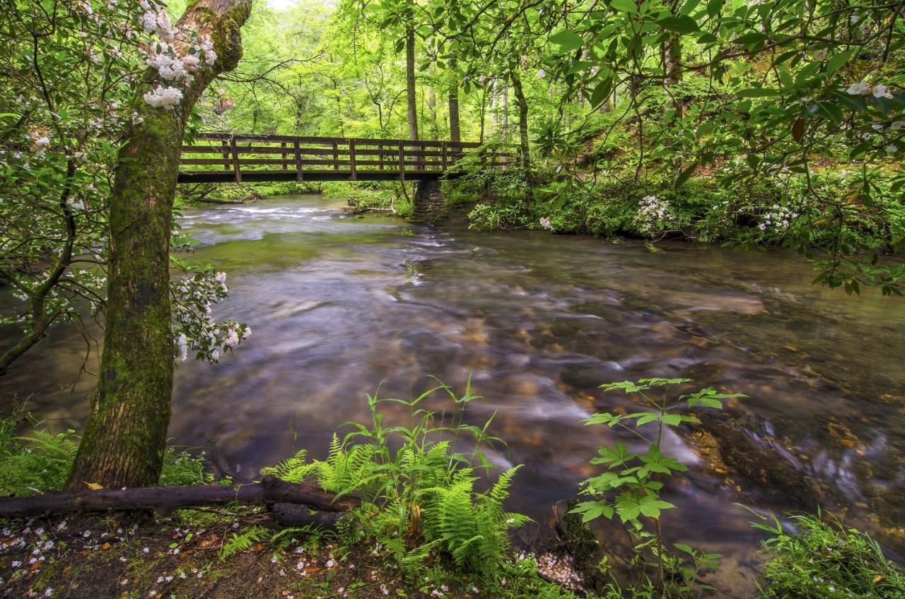 Cabin Of Dreams, 3 Bedroom Water View, Wifi, Hot Tub, Pool Table, Sleep 8 Sevierville Esterno foto