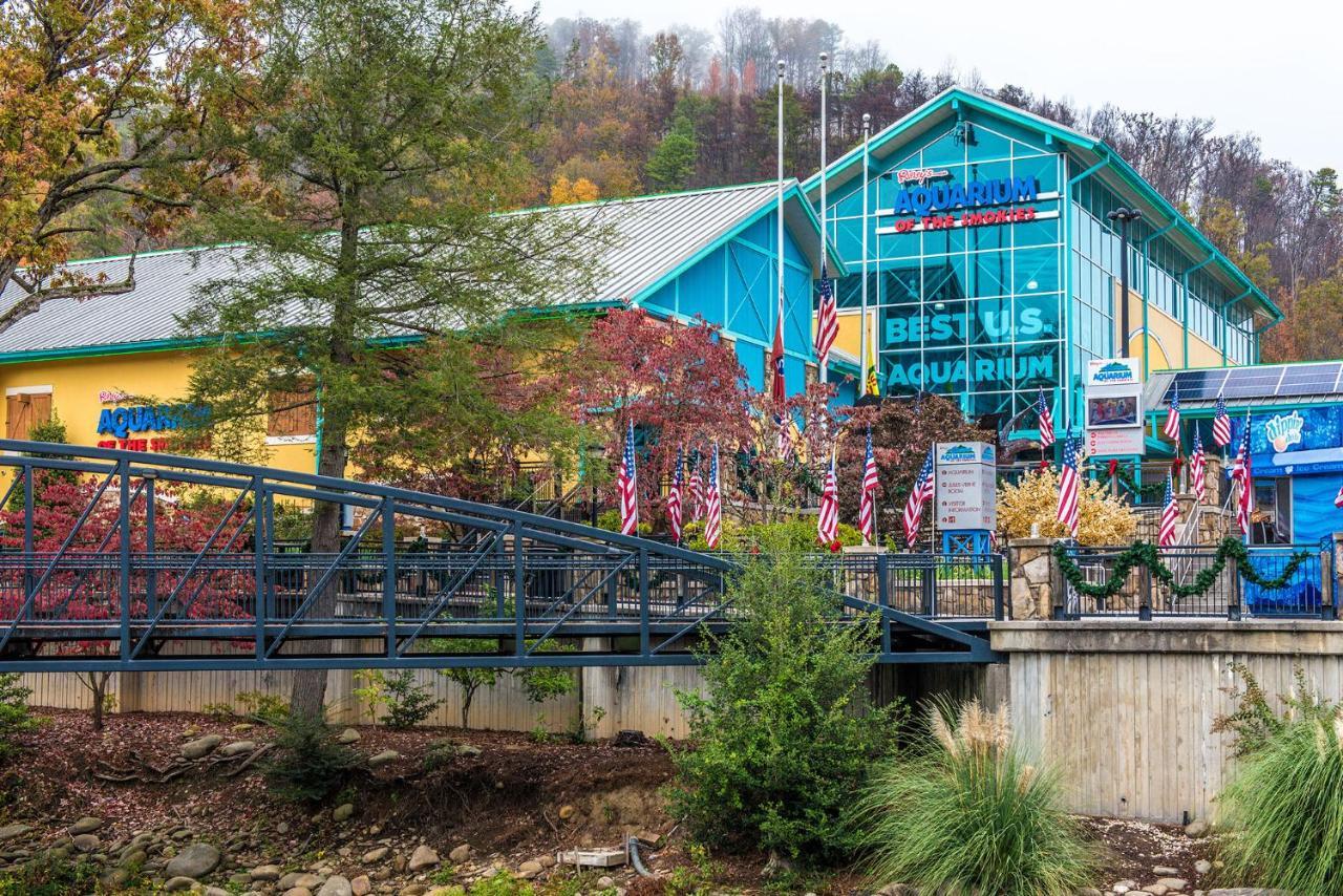 Cabin Of Dreams, 3 Bedroom Water View, Wifi, Hot Tub, Pool Table, Sleep 8 Sevierville Esterno foto